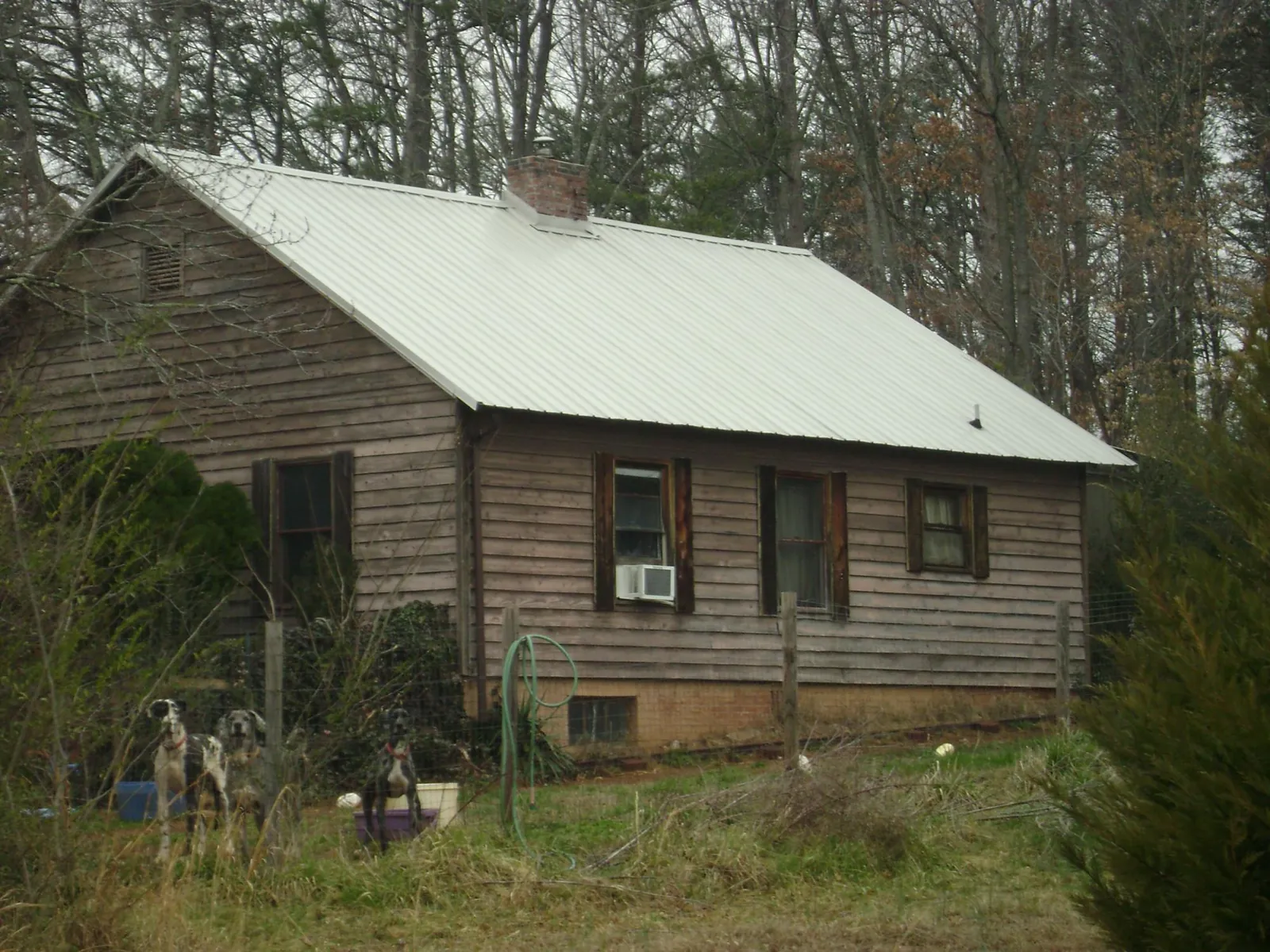 White metal roof on an old wood sided farmhouse, from a Asphalt Shingle Roof Repair job in Red Lodge